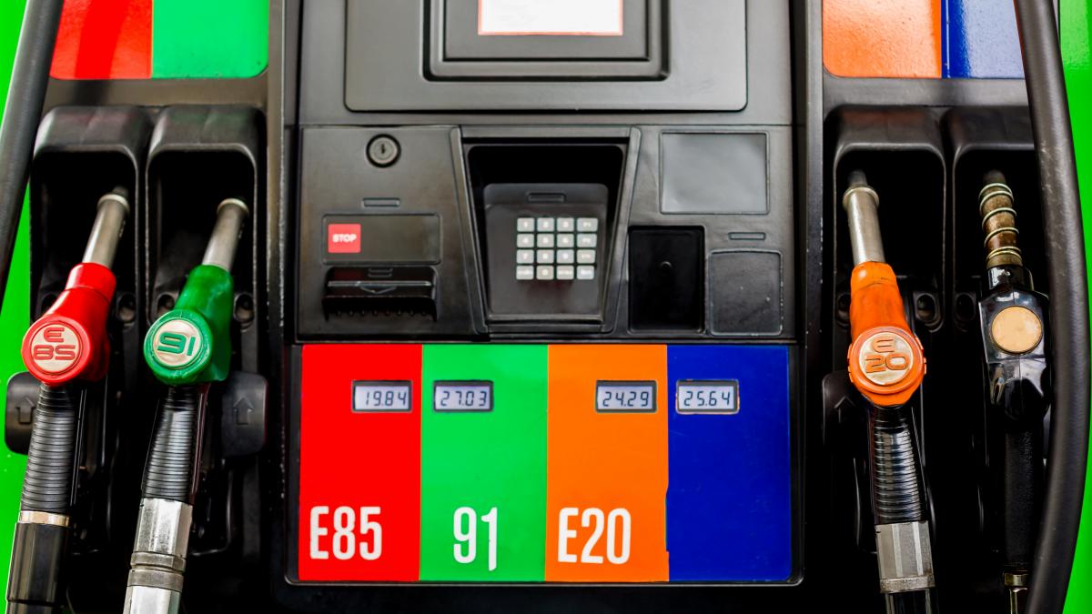 The European Commission is studying authorizing E20 fuel throughout the EU: German right-wing MEPs defend it as a way to lower the price of gasoline