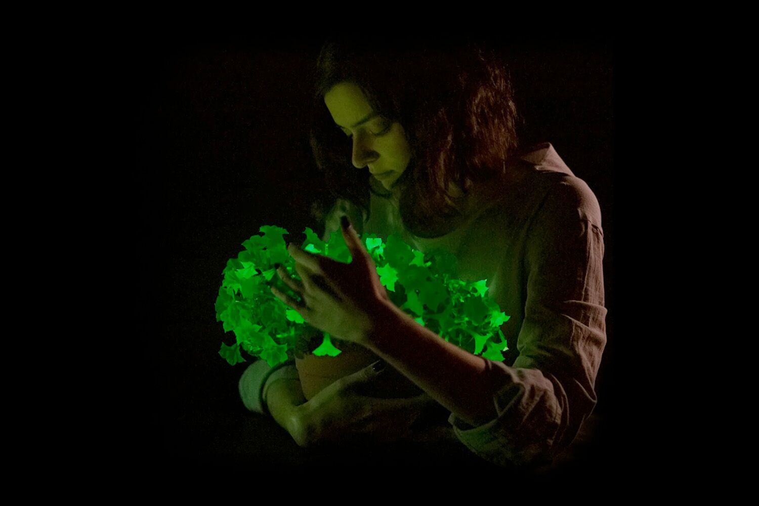 The world of Avatar has arrived on Earth: plants that glow in the dark, with firefly DNA