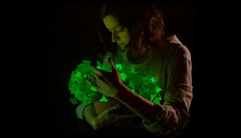 The world of Avatar has arrived on Earth: plants that glow in the dark, with firefly DNA