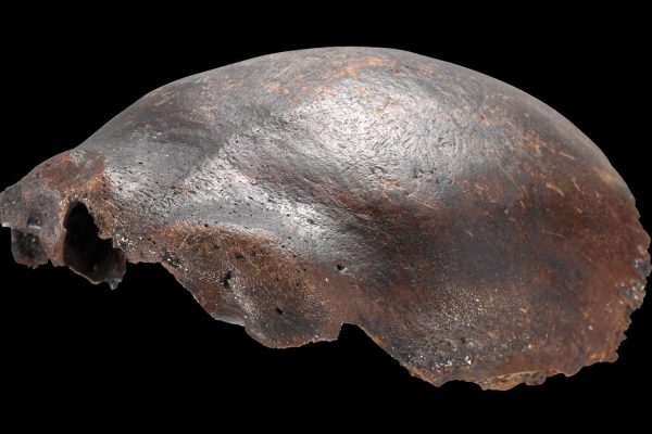 Fossil that puzzled scientists for decades was not Neanderthal/modern human hybrid