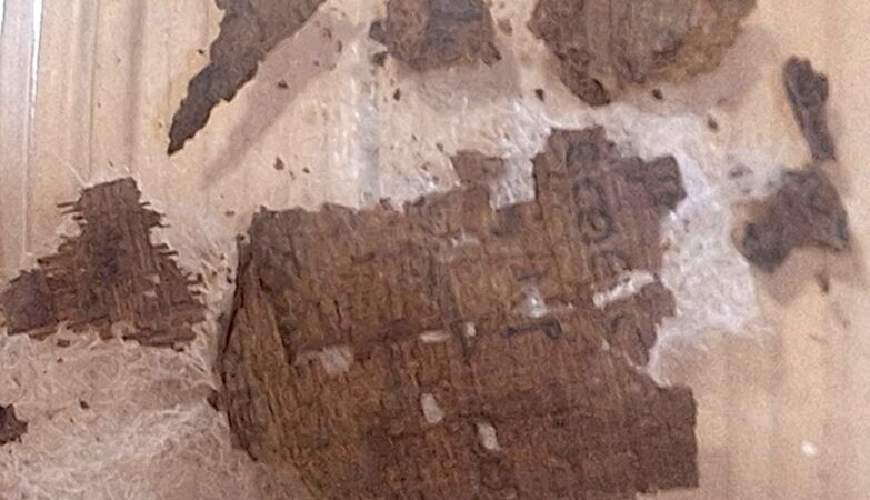 Fragment of the Iliad found in the abdomen of an Egyptian mummy