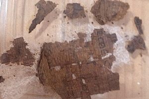 Fragment of the Iliad found in the abdomen of an Egyptian mummy