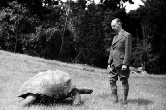 Jonathan, the oldest known land animal in the world, is alive and well after all