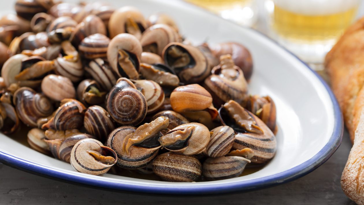 Caracol Festival livens up Fuzeta with music and tradition