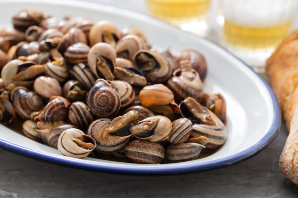 Caracol Festival livens up Fuzeta with music and tradition