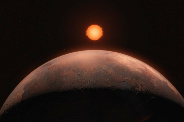Possible life on Venus could come from Earth