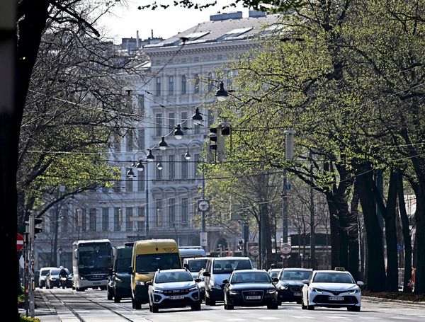 WHAT/FOHRINGER'S HELMUT