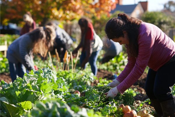 Campaign supports growth of Horta Solidária for Tavira and Portimão