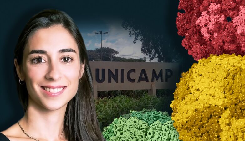 Viruses stolen from high-security laboratory spark controversy in Brazil