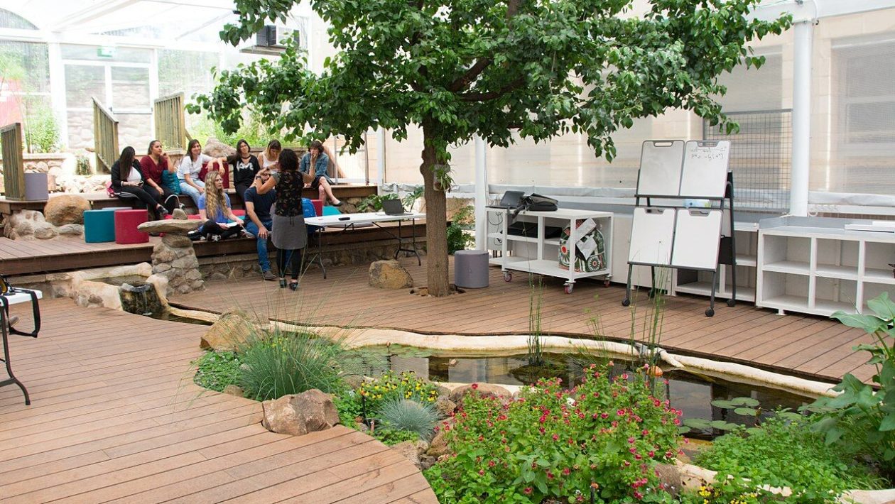 City architecture can heal us. Biophilia is key, says architectural neurophysiologist