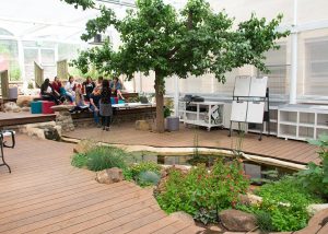 City architecture can heal us. Biophilia is key, says architectural neurophysiologist