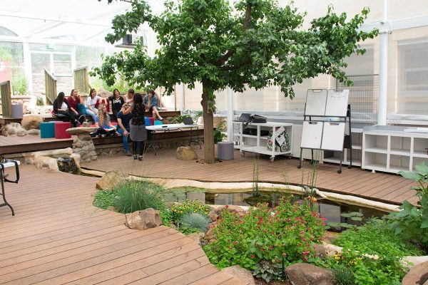 City architecture can heal us. Biophilia is key, says architectural neurophysiologist