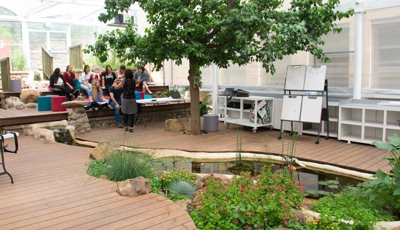 City architecture can heal us. Biophilia is key, says architectural neurophysiologist