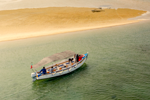 Ria Formosa celebrates 48 years with open day and free activities