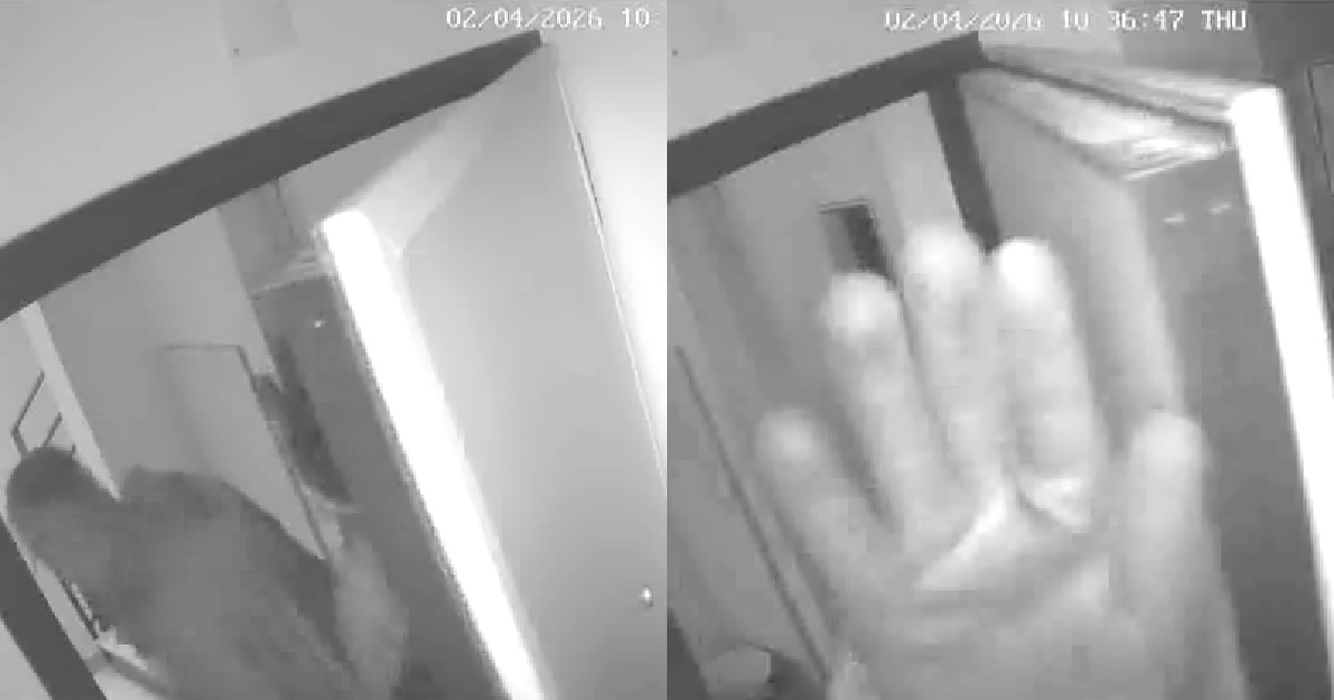 Flash robbery in Viseu: duo invades apartment in 18 seconds and steals 15 thousand euros in gold and jewelry
