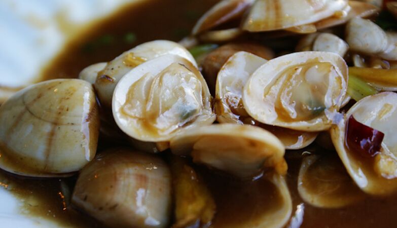 IPMA denies “alleged poisoning abroad” related to Tagus clams