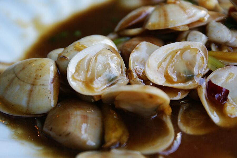 IPMA denies “alleged poisoning abroad” related to Tagus clams