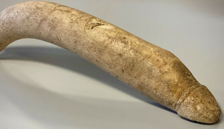 Discovered penis carved from bone from the Roman era. It was an amulet against the evil eye