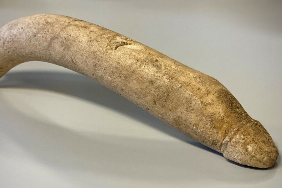 Discovered penis carved from bone from the Roman era. It was an amulet against the evil eye