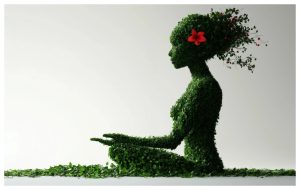 Goodbye stress! 5 zodiac signs for whom life changes radically in Taurus season. For whom is the long-awaited peace coming?