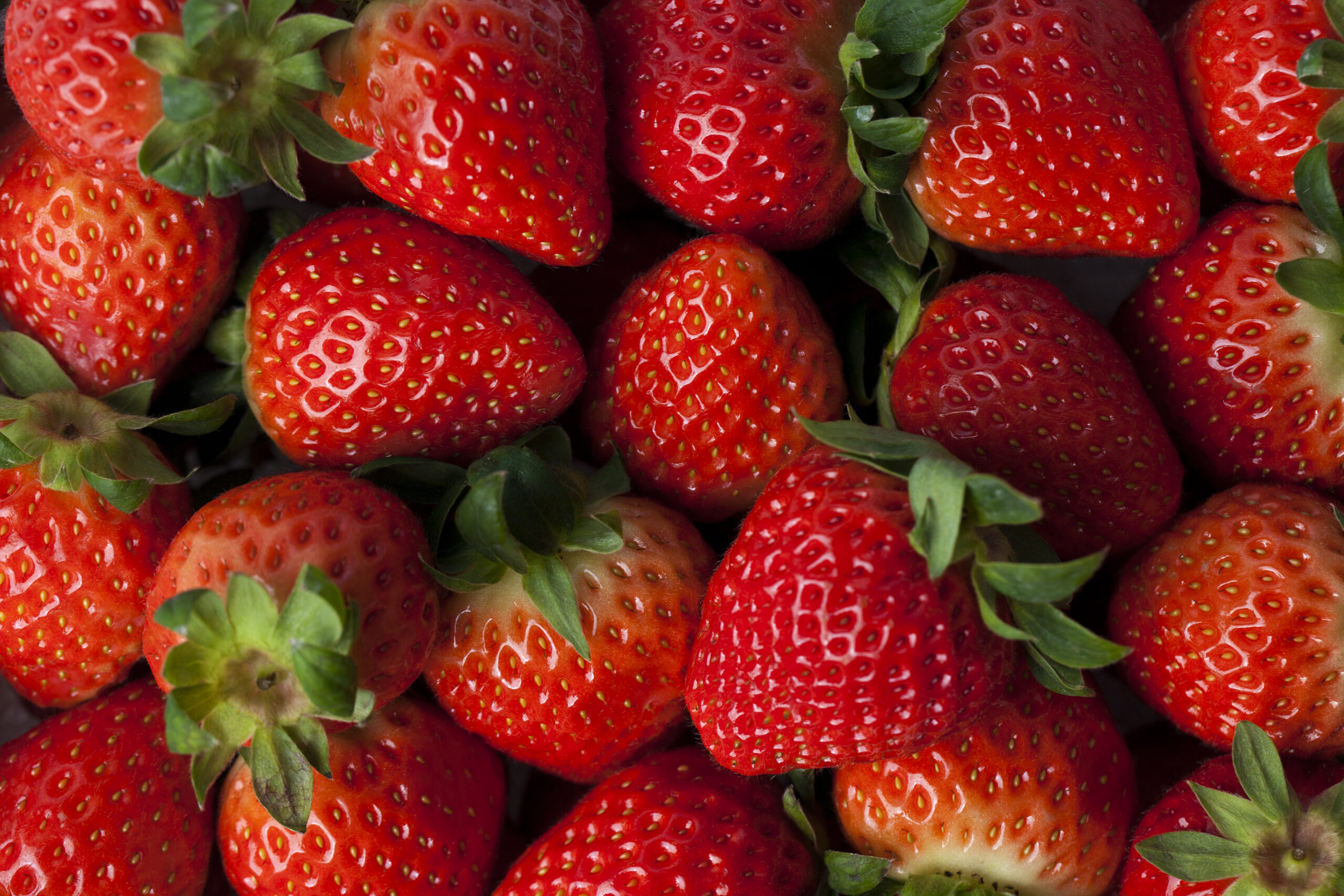 Discover the homemade trick to keep strawberries fresh for longer days