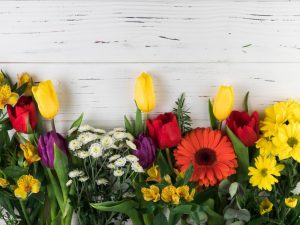 A culinary hit Few know that these flowers can be pickled. Their taste resembles a popular Polish delicacy