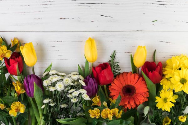 A culinary hit Few know that these flowers can be pickled. Their taste resembles a popular Polish delicacy