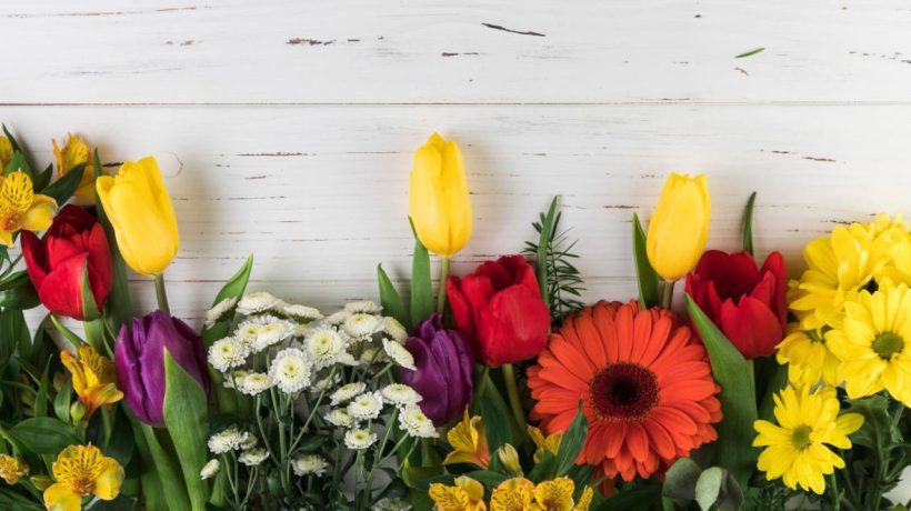 A culinary hit Few know that these flowers can be pickled. Their taste resembles a popular Polish delicacy