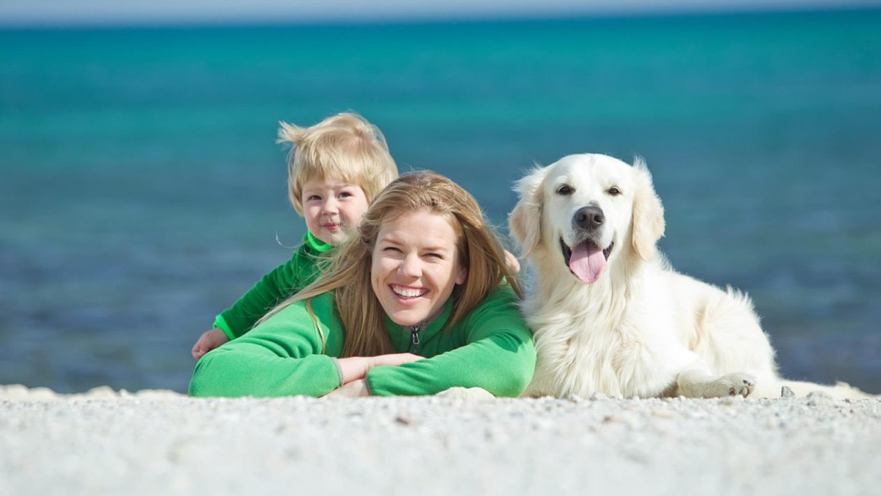 Vacation with a dog and cat May weekend with a pet - what to remember when planning a vacation?