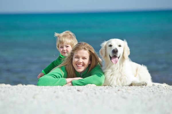 Vacation with a dog and cat May weekend with a pet - what to remember when planning a vacation?