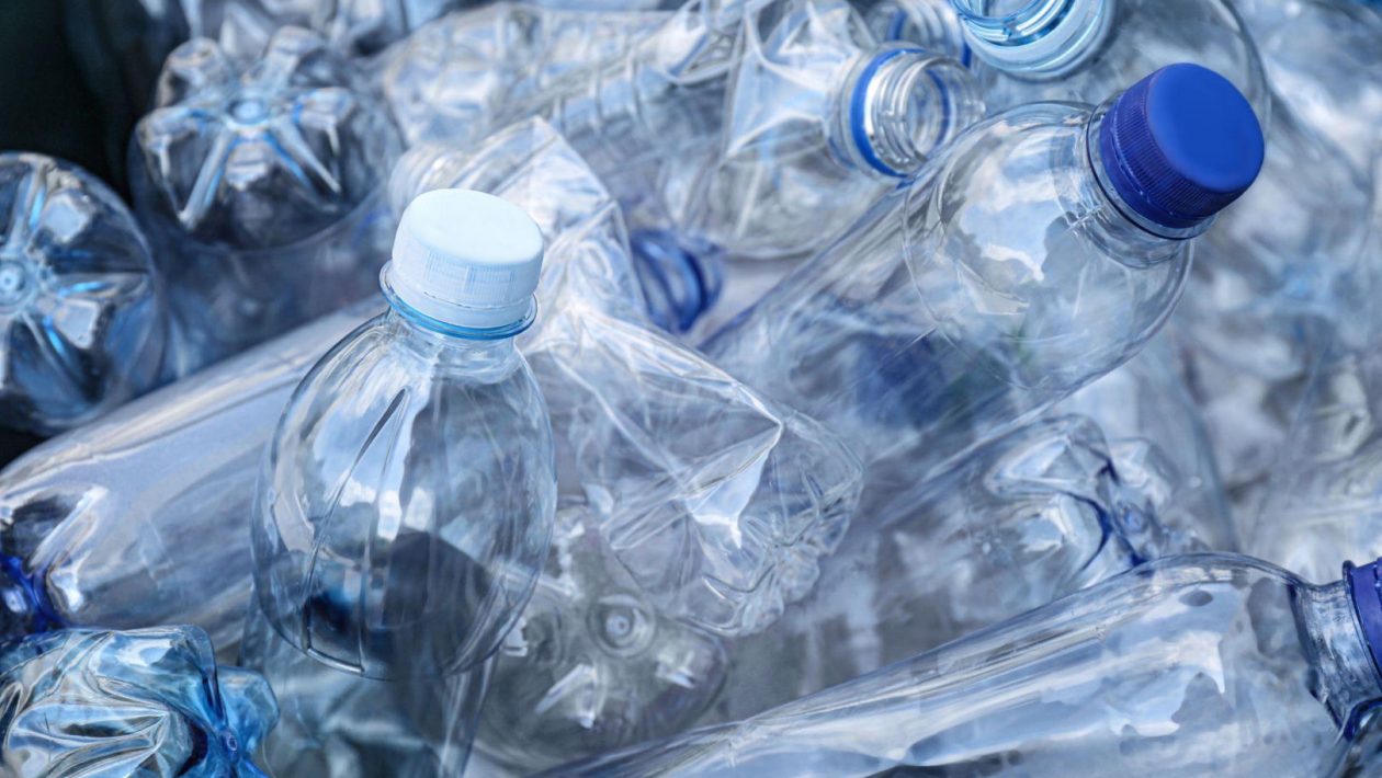 A bottle dispenser that saves the deposit system