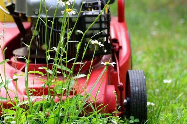 Home and garden This is a new trend in Polish gardens! Poles do this with their lawn and have peace of mind during drought! There's this little, disturbing catch