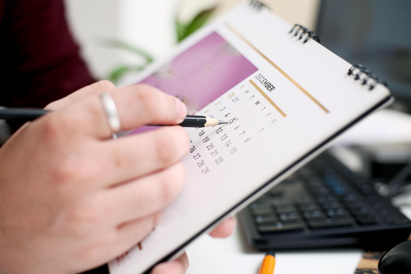 Days off from work There will be a new long weekend this year! The door has already been closed and fathers can heat the grill. The new holidays for 2026 will please parents more than students