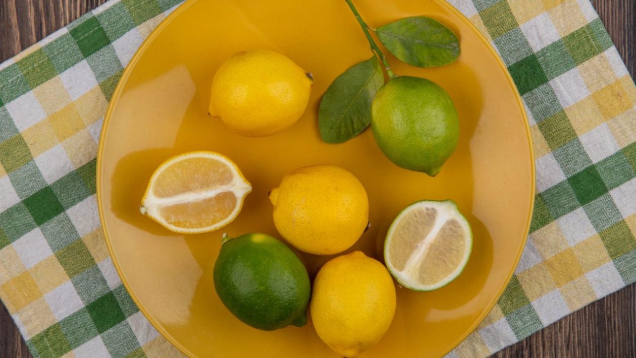 Spring news The new collection at Pepco wins the hearts of customers. This pattern is an absolute hit