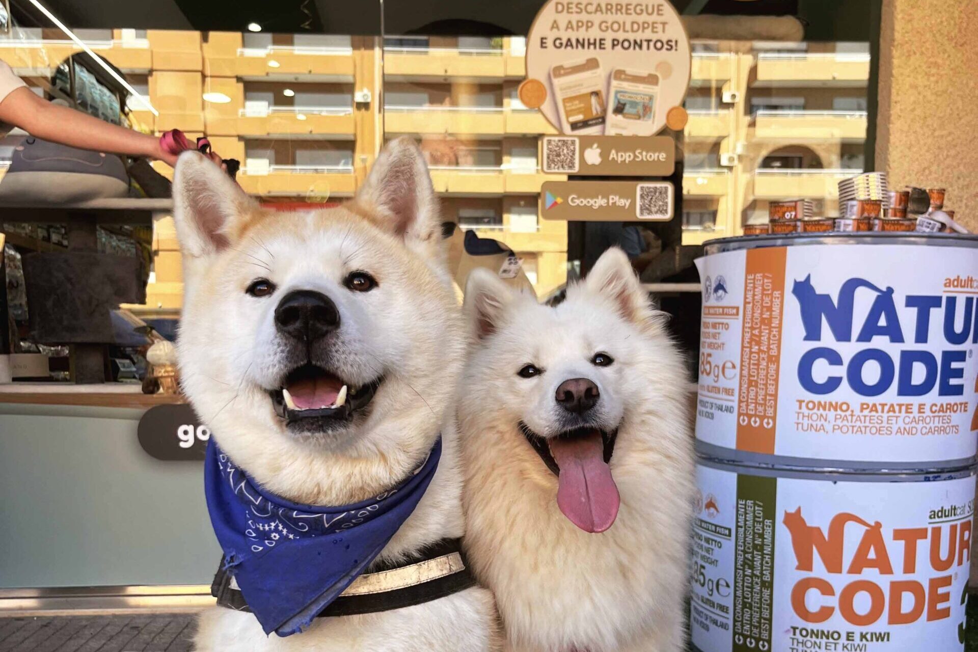 New Goldpet store reinforces offer for animals in the south