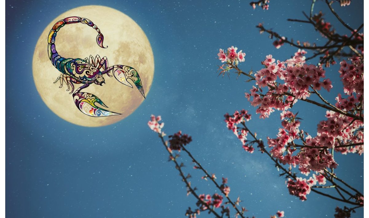 Special Horoscope: Full Moon of Flowers in Scorpio – May 1, 2026. What intense energies do we receive as a gift from the Universe in a more special month with two Full Moons?