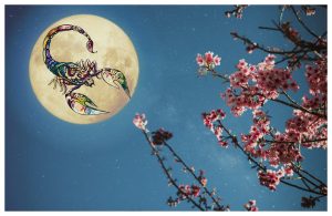 Special Horoscope: Full Moon of Flowers in Scorpio – May 1, 2026. What intense energies do we receive as a gift from the Universe in a more special month with two Full Moons?