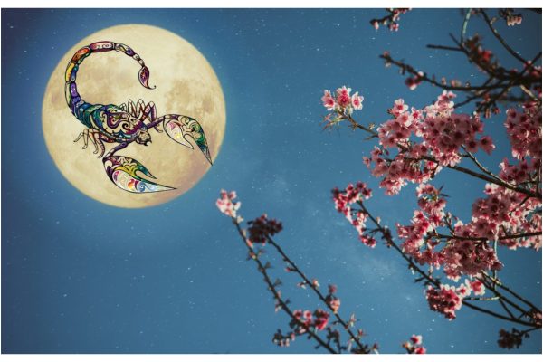 Special Horoscope: Full Moon of Flowers in Scorpio – May 1, 2026. What intense energies do we receive as a gift from the Universe in a more special month with two Full Moons?