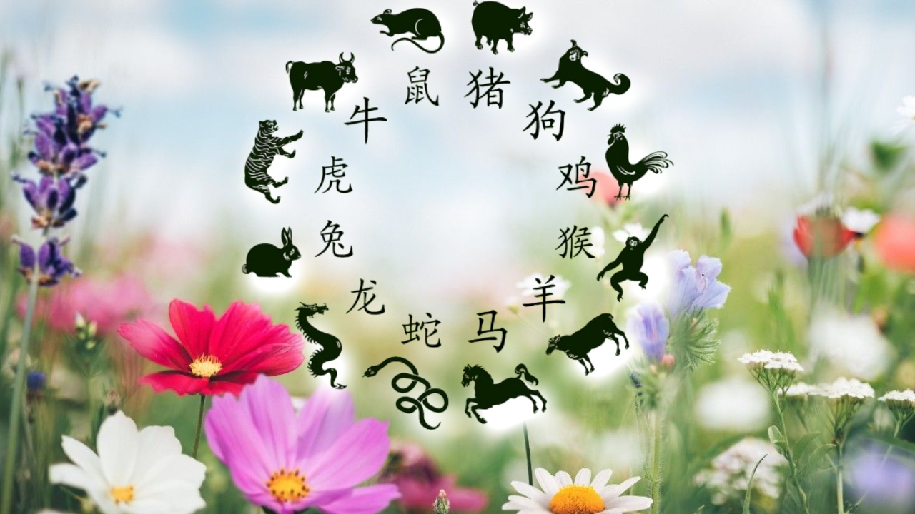 Wave of opportunities for three Chinese zodiac signs. Who are the lucky ones of April?