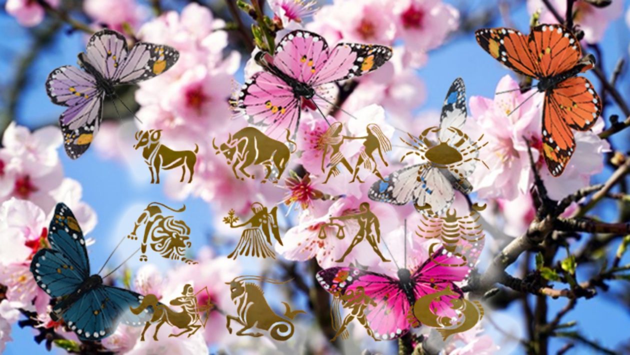 Horoscope April 29, 2026. The zodiac that will be in the center of attention throughout the day