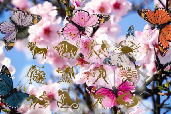 Horoscope April 29, 2026. The zodiac that will be in the center of attention throughout the day