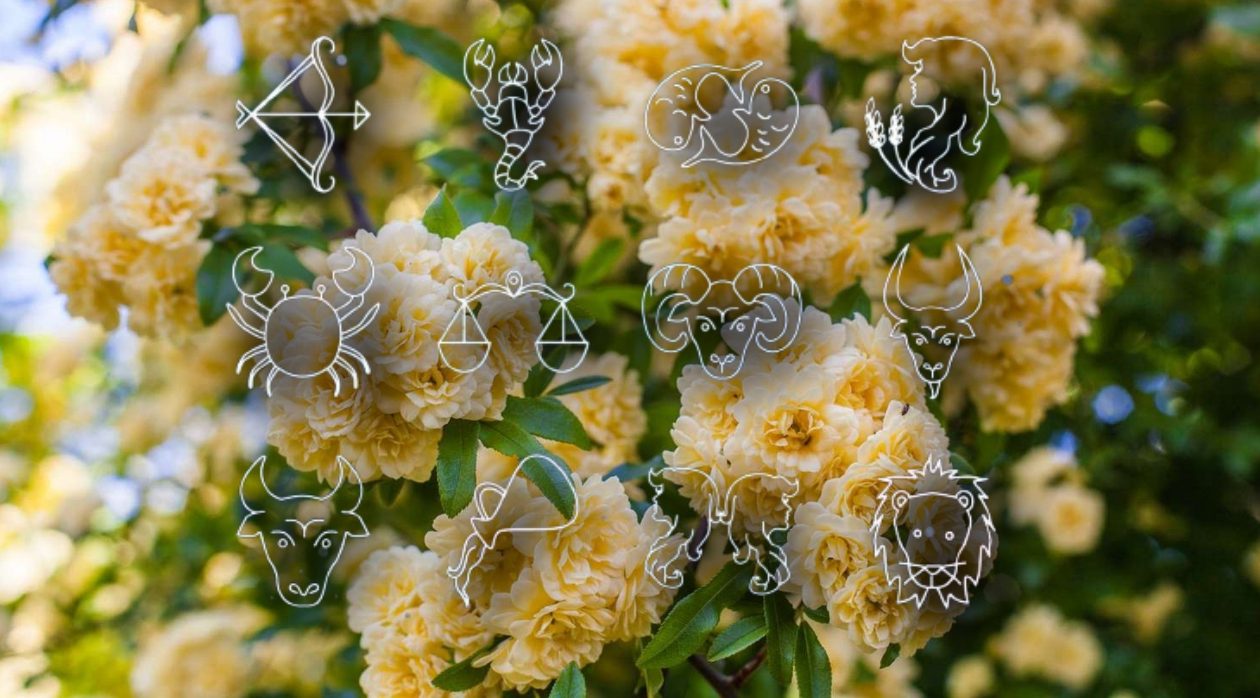 Horoscope April 30, 2026. Zodiac signs facing problems on several levels on the last day of the month