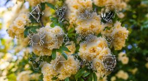 Horoscope April 30, 2026. Zodiac signs facing problems on several levels on the last day of the month