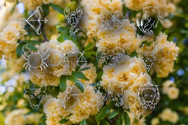 Horoscope April 30, 2026. Zodiac signs facing problems on several levels on the last day of the month