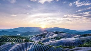 'It's not another news about Hormuz': renewables beat coal for the first time in history