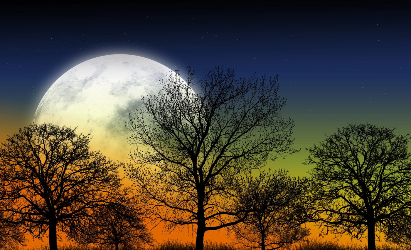 Horoscope April 2, 2026. The Full Moon brings more darkness than light into the lives of the zodiac signs