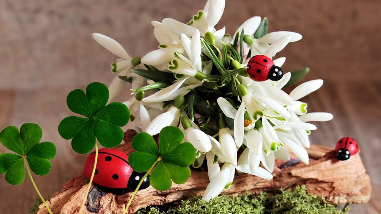 Horoscope April 10, 2026. Control your impulse to make hasty expenses out of a desire to impress!