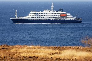 Hantavirus on the Hondius cruise. 3 dead, one Portuguese on board
