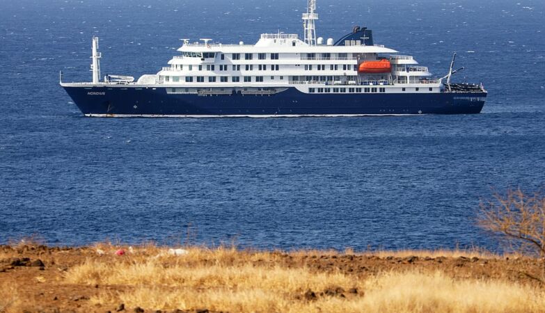 Hantavirus on the Hondius cruise. 3 dead, one Portuguese on board