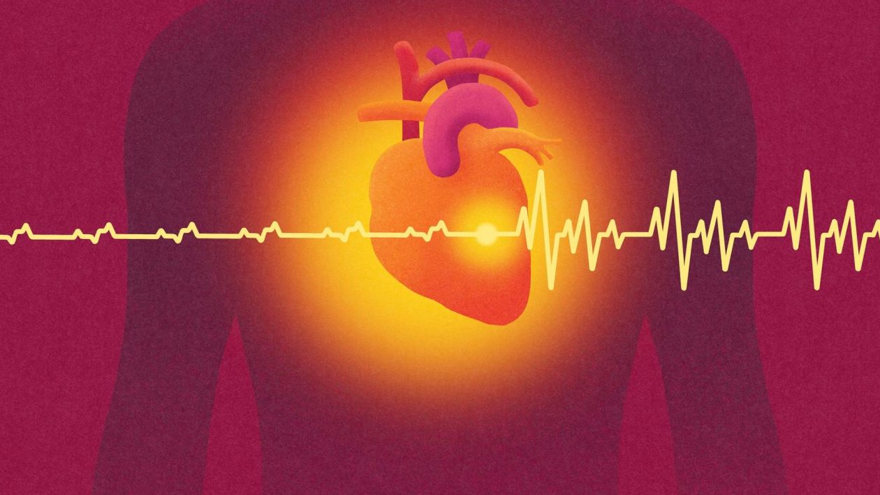 European Heart Failure Day: “Recognize today, protect tomorrow”